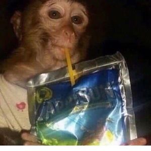 Meet your Posher, Mason